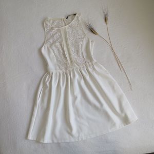 Zara Lace Stretchy Dress